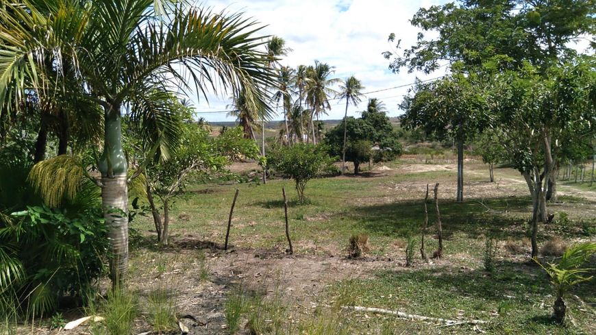 CHÁCARA À 5 KM DE MACAÍBA