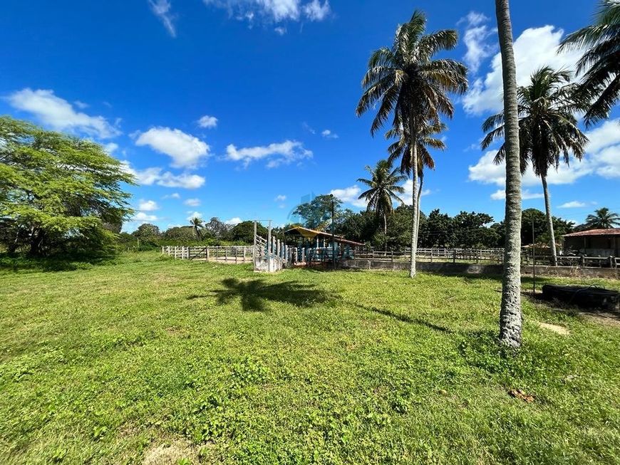 Fazenda em Macaíba 500 hectares com sede 600 m².