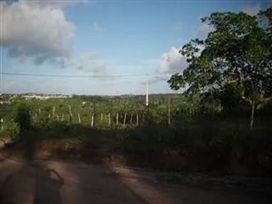 Terreno à venda, 5000 m² por R$ 250.000 - Guarapes - Natal/RN