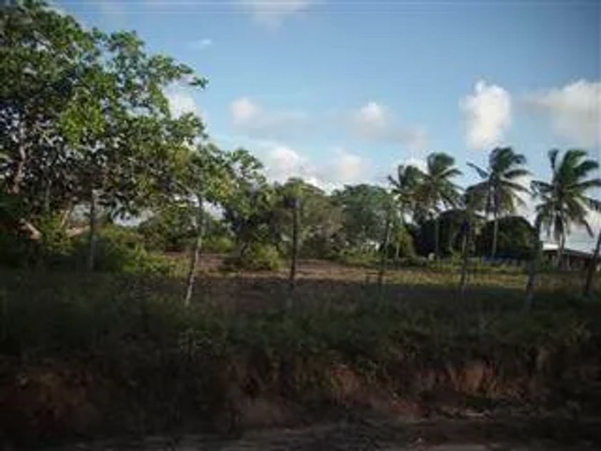 Terreno à venda, 5000 m² por R$ 250.000 - Guarapes - Natal/RN