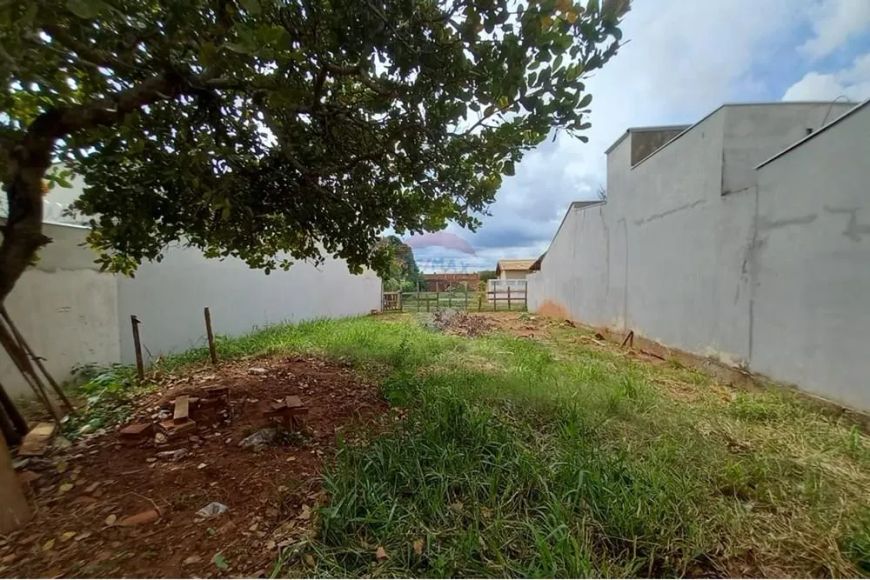 Terreno dos Sonhos: Oportunidade em MS!