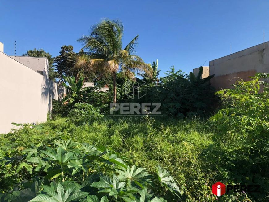Terreno à Venda no Bairro Rita Vieira