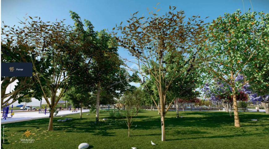 TERRENO REGIÃO NORTE