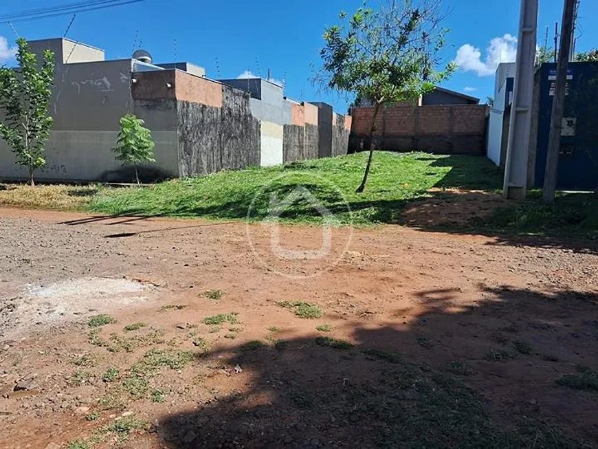 TERRENO PLANO TODO MURADO