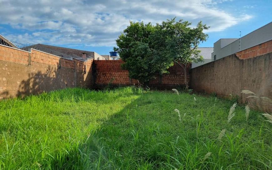 Campo Grande - Terreno Padrão - Jardim das Virtudes