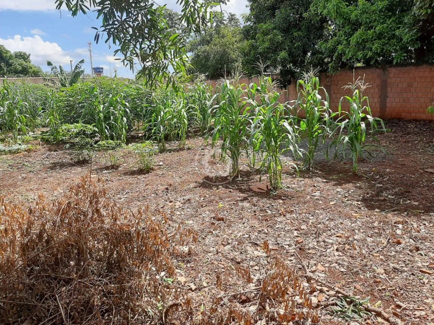 TERRENO MURADO NOVA CAMPO GRANDE