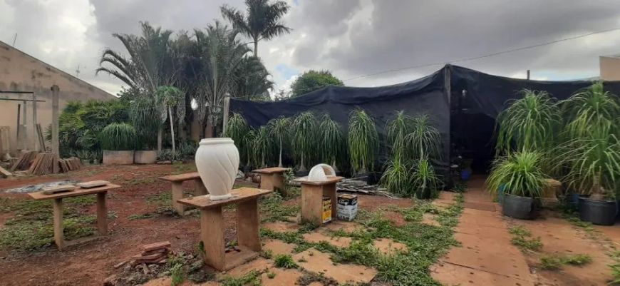 Campo Grande - Terreno Padrão - Jardim TV Morena