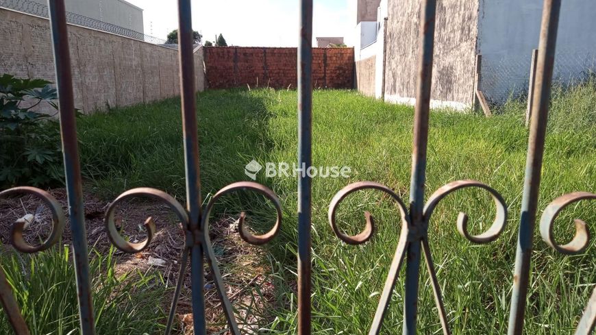 Pioneiros | Lote