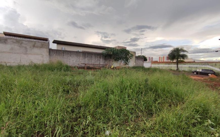 Campo Grande - Terreno Padrão - São Francisco