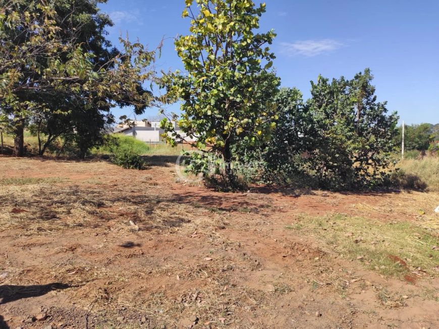Boa localização - Jardim Mansur
