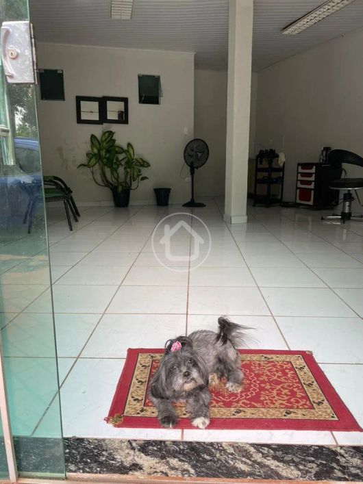 CASA COM DUAS SALAS COMERCIAIS NO JARDIM SAMAMBAIA