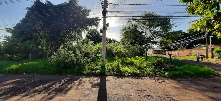 Campo Grande - Terreno Padrão - Vila Albuquerque