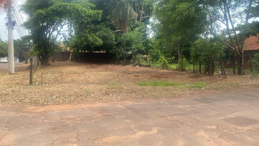 Campo Grande - Terreno Padrão - Vila Albuquerque
