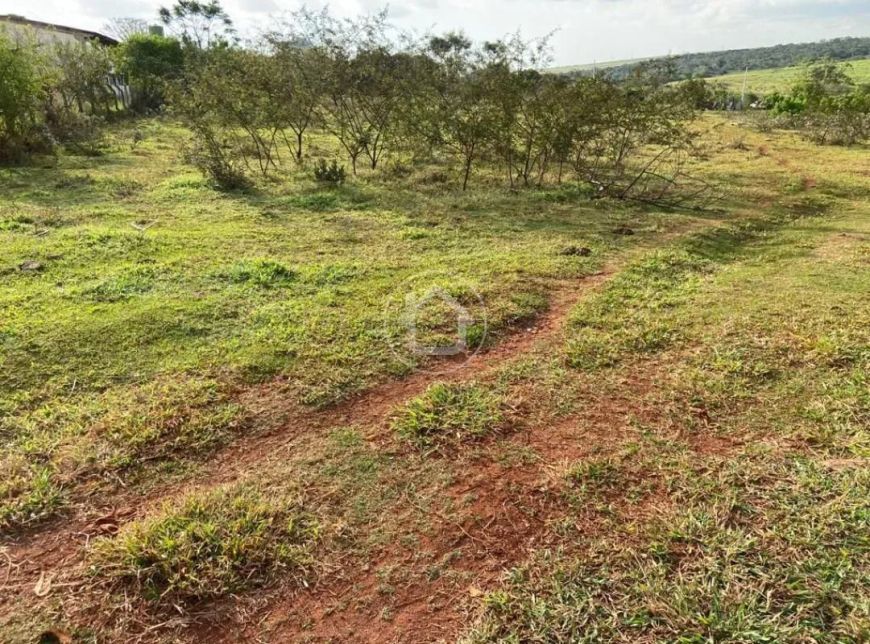 TERRENO AMPLO NA MARGEM DA BR 163