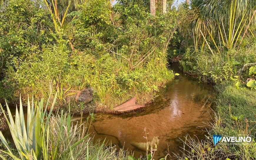 Chácara com córrego, na região das Três Barras (25 km do centro de Campo Grande - MS)