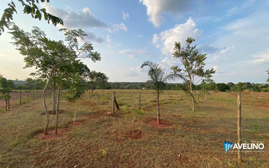 Chácara com córrego, na região das Três Barras (25 km do centro de Campo Grande - MS)