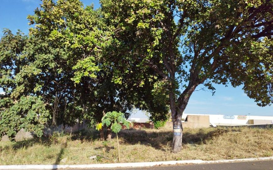 Campo Grande - Terreno Padrão - Vila Morumbi