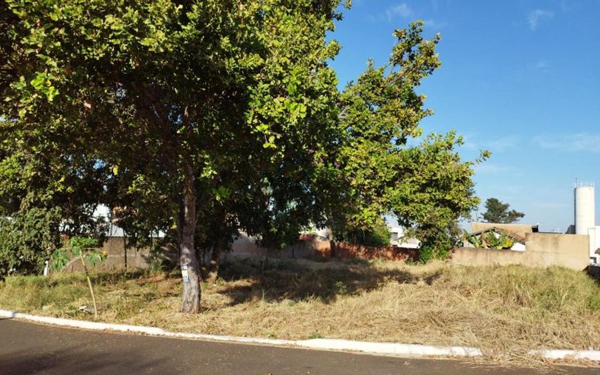 Campo Grande - Terreno Padrão - Vila Morumbi