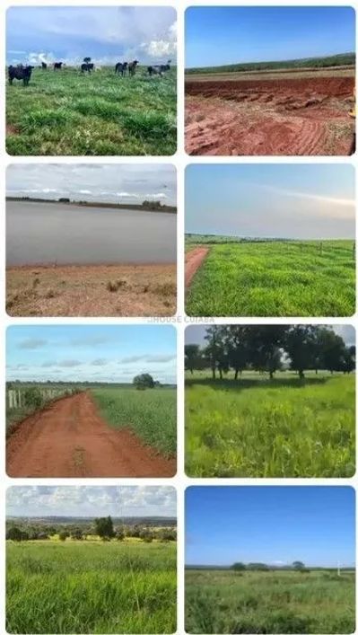 fazenda de 45.000 hectares na região Oeste do estado do Mato grosso do sul