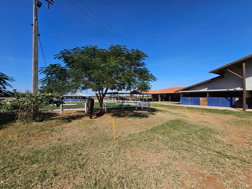 Haras Profissional- Campo Grande- MS