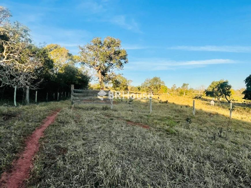 Chácara para venda em Jardim Colúmbia com 11,6 hectares