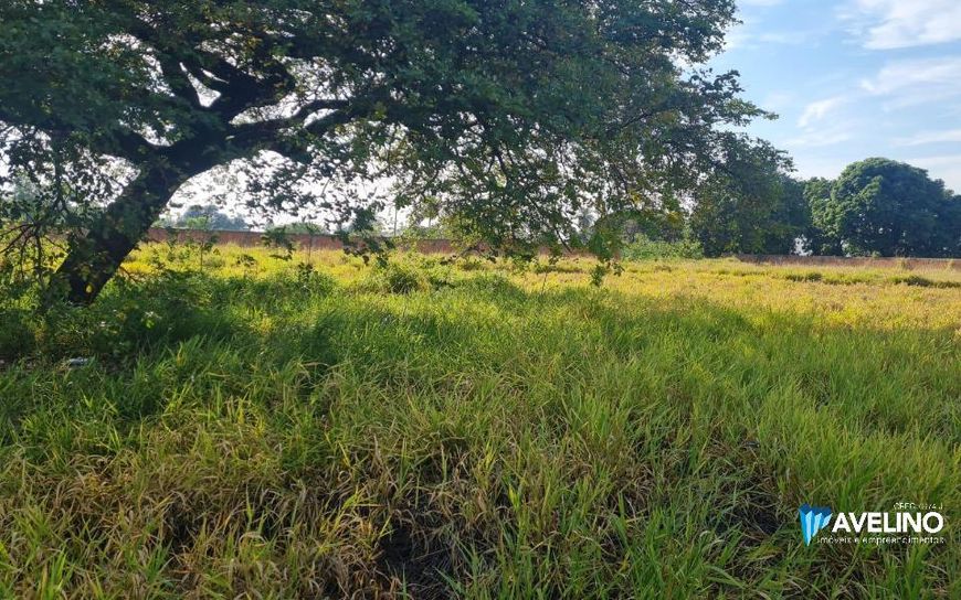 Terreno com Projeto Pronto e Aprovado para 32 Casas