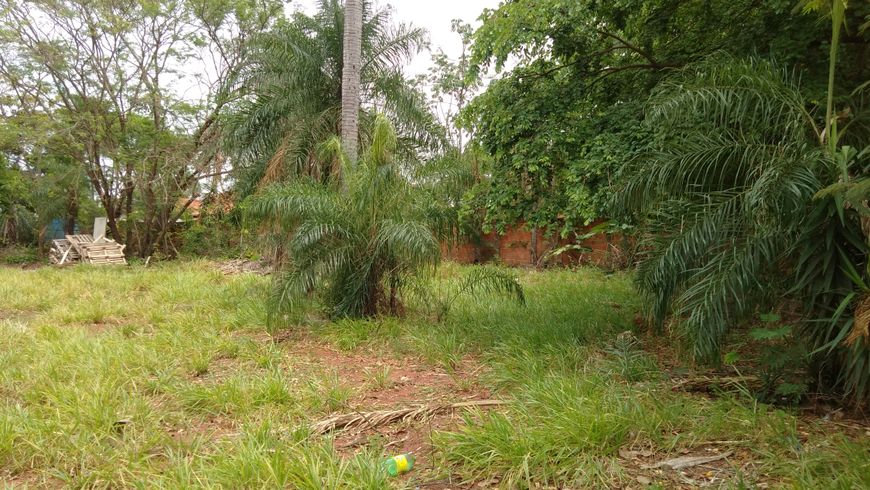 Lote/Terreno para venda tem 2044 metros quadrados