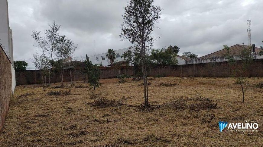 Terreno Murado Carandá Bosque
