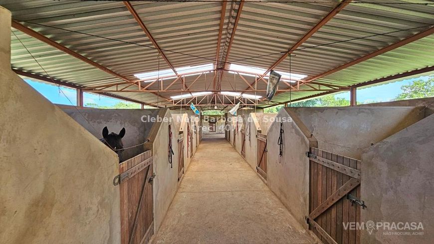 HARAS COM 4 HECTARES NA SAÍDA PARA SÃO PAULO