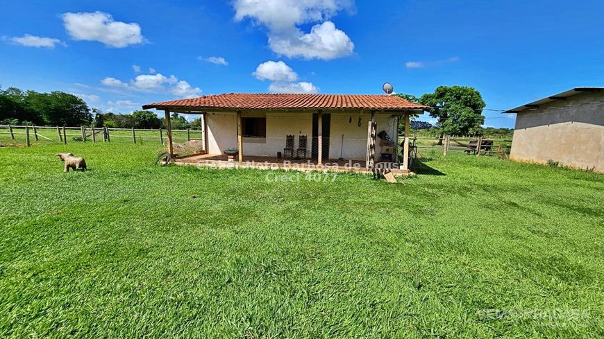 HARAS COM 4 HECTARES NA SAÍDA PARA SÃO PAULO
