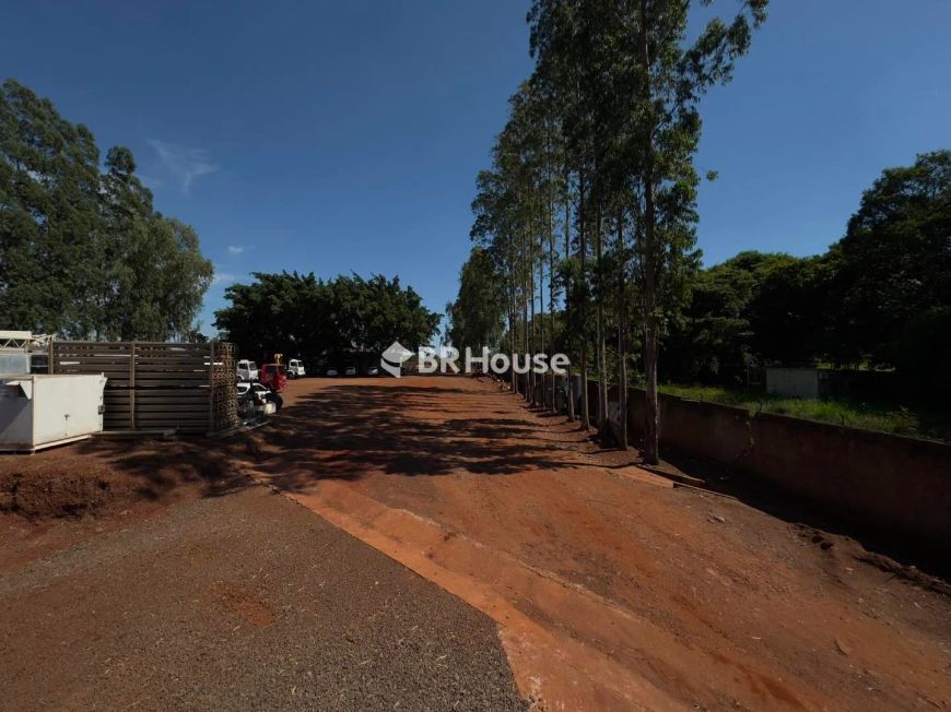 Universitário | Lote