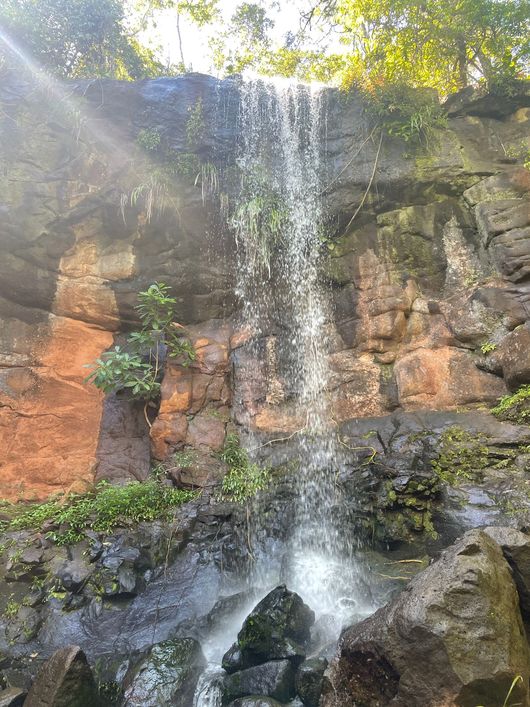 Reserva nativa e potencial para turismo á 17km de Campo Grande