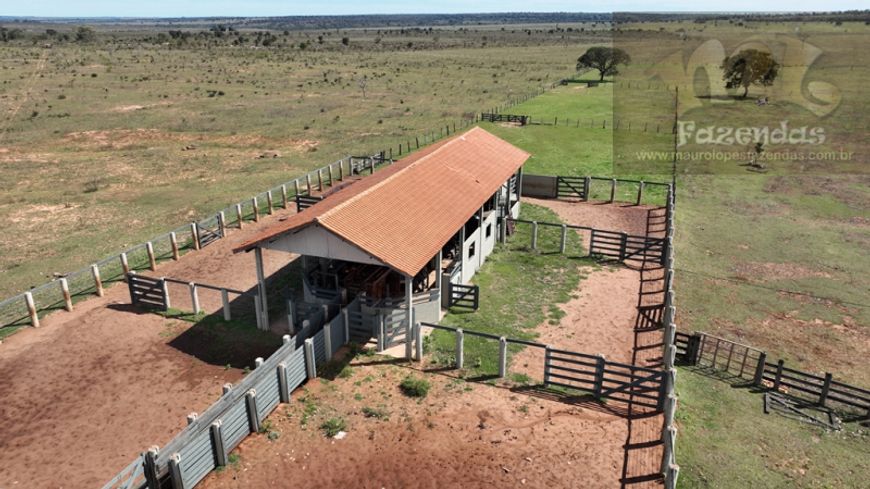 ML FAZENDAS - FAZ 47 Fazenda na Região de Campo Grande – MS com 1.004,60 hect
