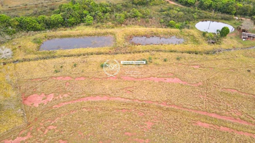 Fazenda- 190 HA- Campo Grande- MS