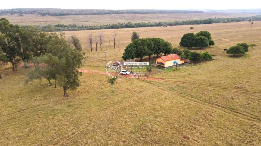 Fazenda- 190 HA- Campo Grande- MS