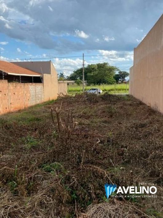 Terreno no bairro Universitário