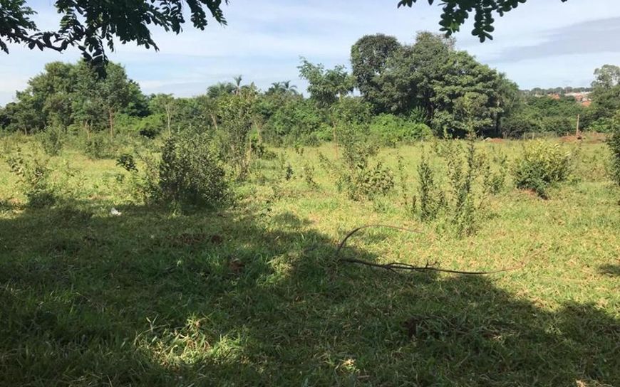 Campo Grande - Terreno Padrão - Jardim Centenário