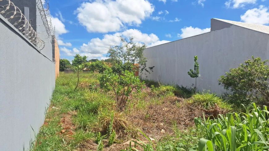 Terreno Bairro North Park excelente oportunidade