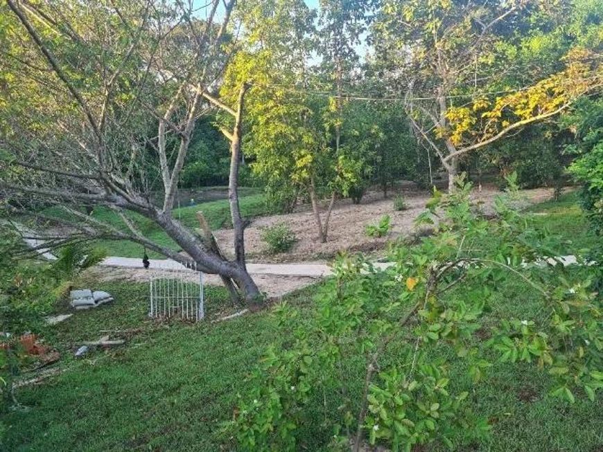 Rancho na região de Palmeiras - Pesqueiro - Porteira Fechada