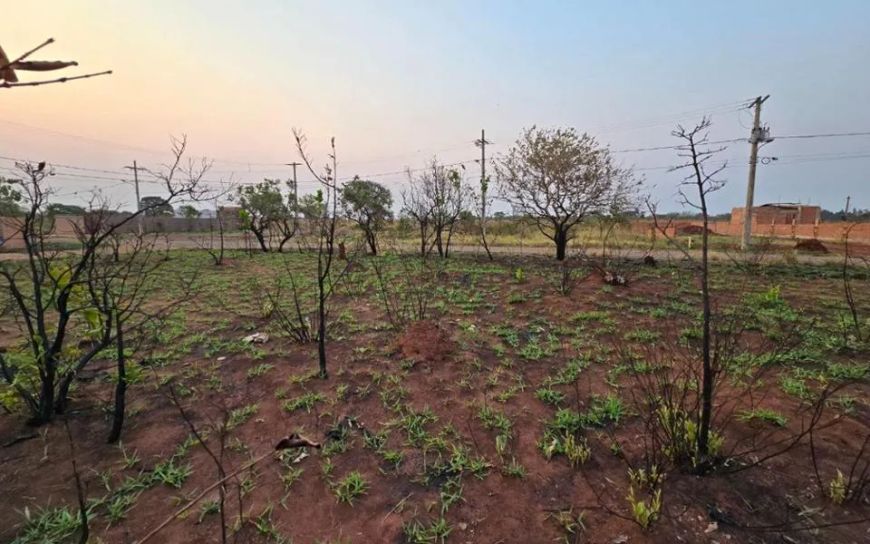 Campo Grande - Terreno Padrão - Vila Nasser