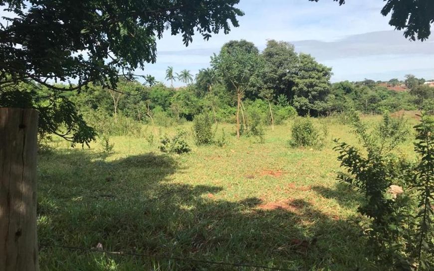 Campo Grande - Terreno Padrão - Jardim Centenário