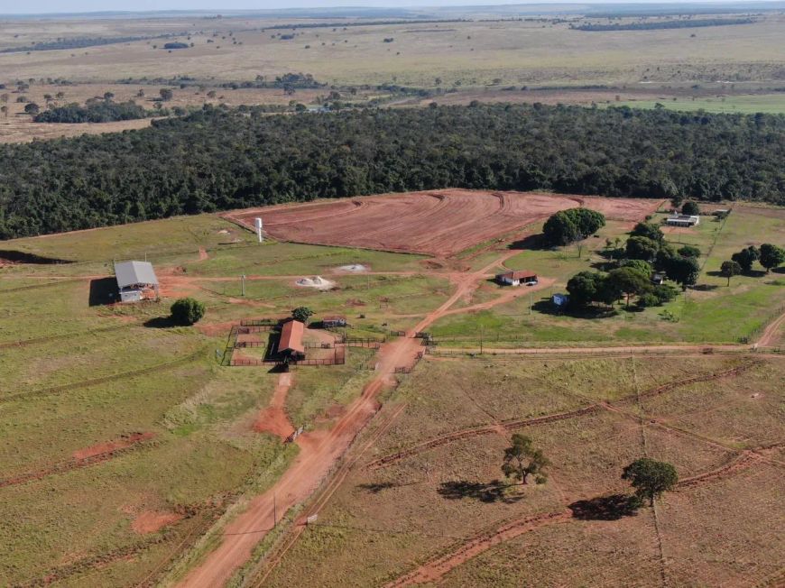 🌱Fazenda 667 hectares -sentido Ribas do Rio pardo