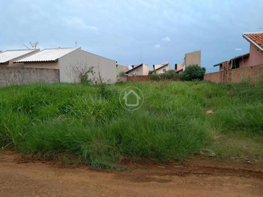 TERRENO MURADO EM U COM ASFALTO