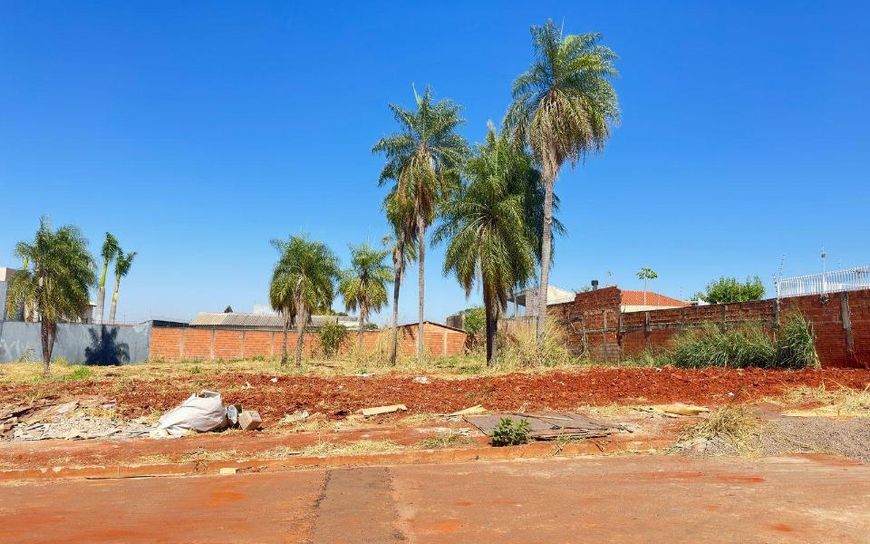 Campo Grande - Terreno Padrão - São Francisco