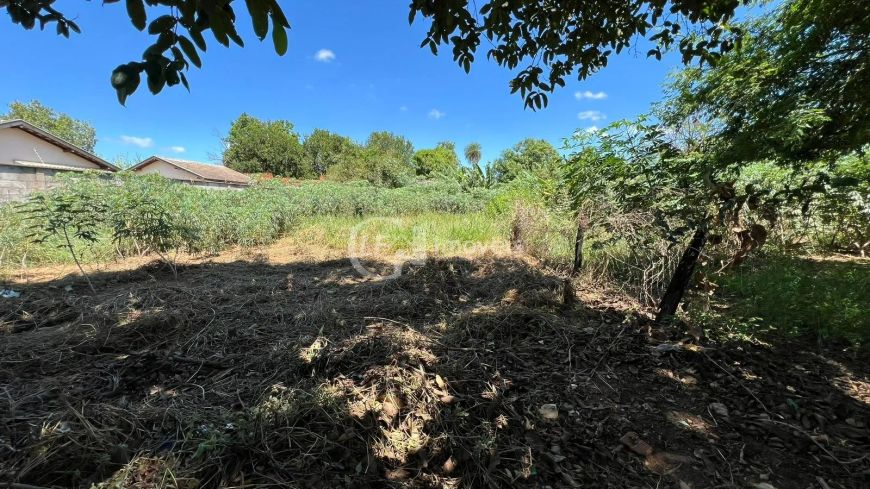 Terreno à venda em Campo Grande-MS, Jardim Sumatra, 420m² de área!