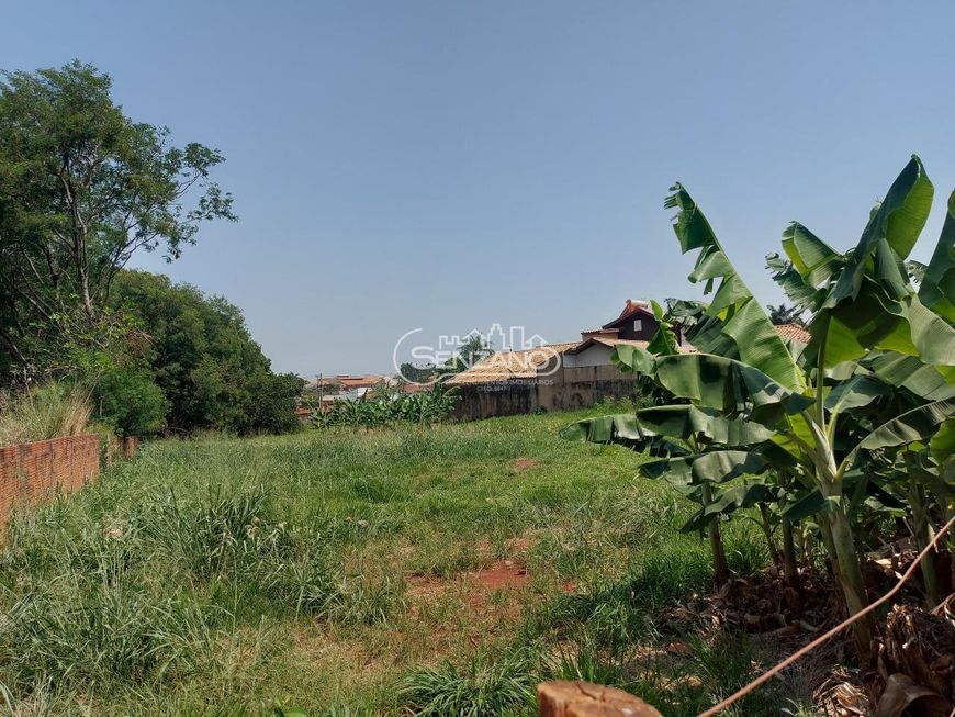 Terreno em Jardim Tv Morena - Campo Grande