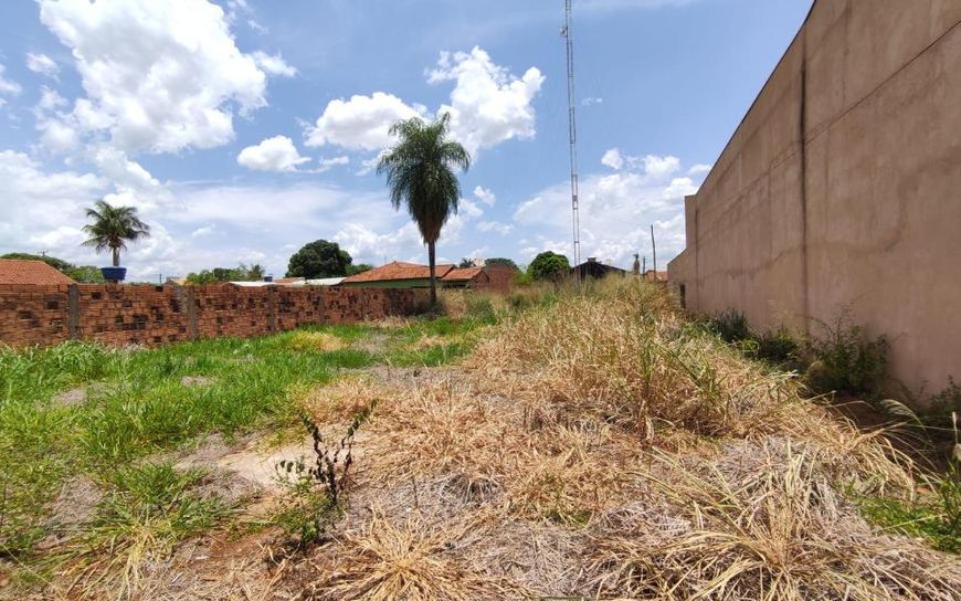 Campo Grande - Terreno Padrão - Vila Nova Campo Grande