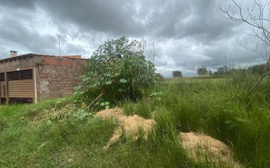 Campo Grande - Terreno Padrão - Rancho Alegre IV