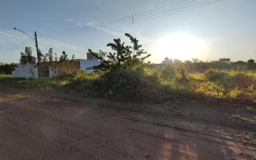 Campo Grande - Terreno Padrão - Vila Nasser
