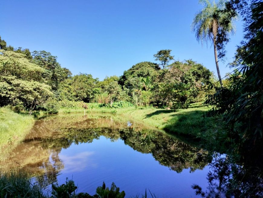 Chácara à venda próximo de campo grande rica em água